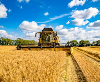 Ірландське зерно лежить в коморах, зате імпорт — на рекордному рівні