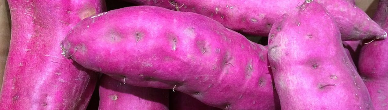 Українці все частіше відмовляються від картоплі на користь батату