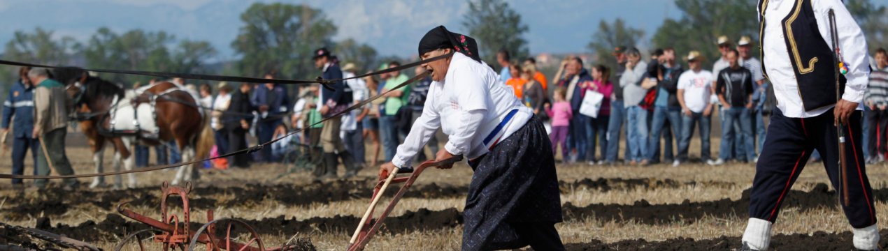 У Мордовії зійдуться талантами російські орачі