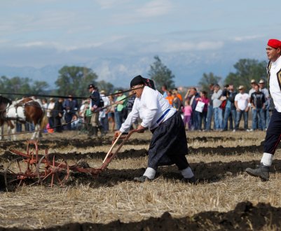 У Мордовії зійдуться талантами російські орачі