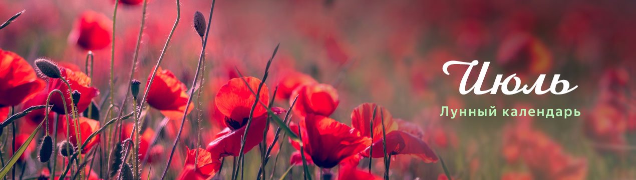 Місячний посівної календар для городника на липень 2019 року