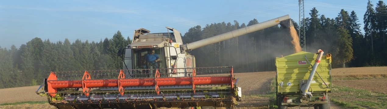 Україна встановила відразу кілька історичних рекордів врожайності в 2018 році