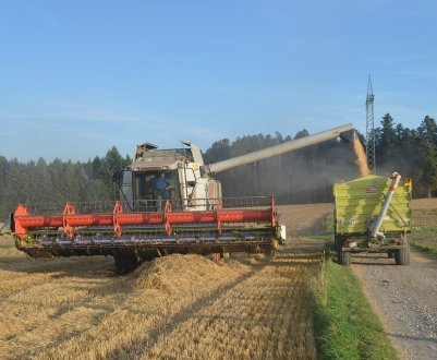 Україна встановила відразу кілька історичних рекордів врожайності в 2018 році