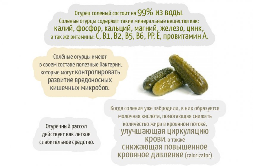 Витаминный состав и свойства соленых огурцов