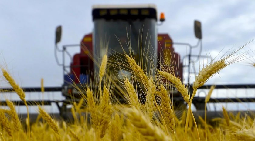 Украина установила сразу несколько исторических рекордов урожайности в 2018 году Украина установила сразу несколько исторических рекордов урожайности в 2018 году
