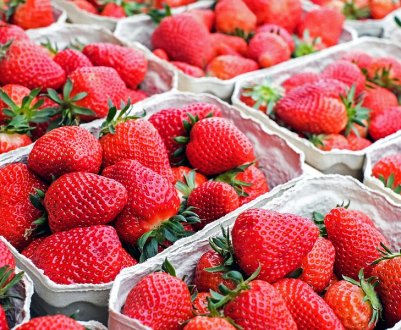 Полуницю для зберігання краще збирати у ранкові години