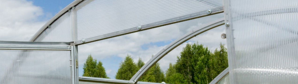 Характеристика та особливості теплиці «Новатор»