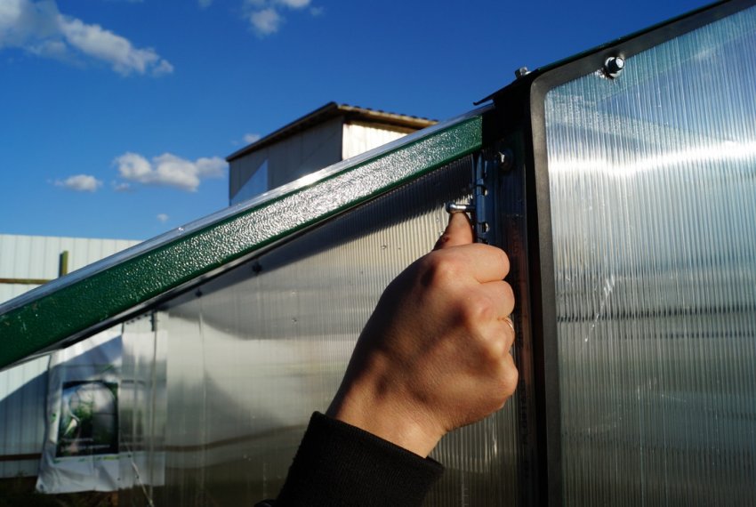 Теплиця зі знімним дахом Теплиця зі знімним дахом