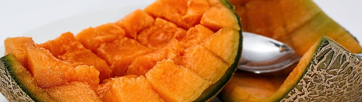 Особливості вживання дині при холециститі