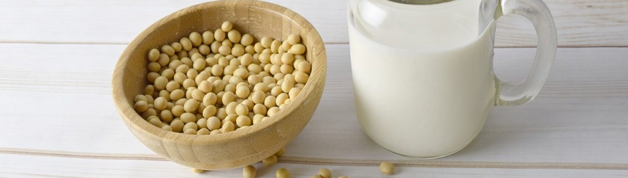 Житомирські аграрії будуть вирощувати на експорт органічну сою