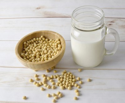 Житомирські аграрії будуть вирощувати на експорт органічну сою