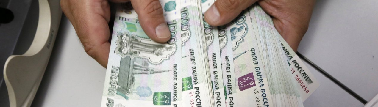 Влада РФ нададуть фінансову підтримку карельським фермерам-новачкам