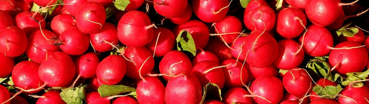 За рік редис в Україні подешевшав в два рази