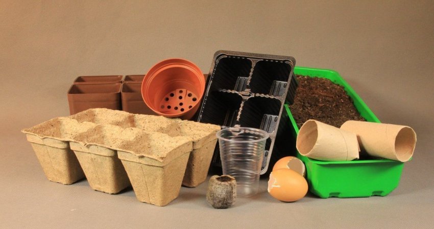 Ємність для вирощування розсади