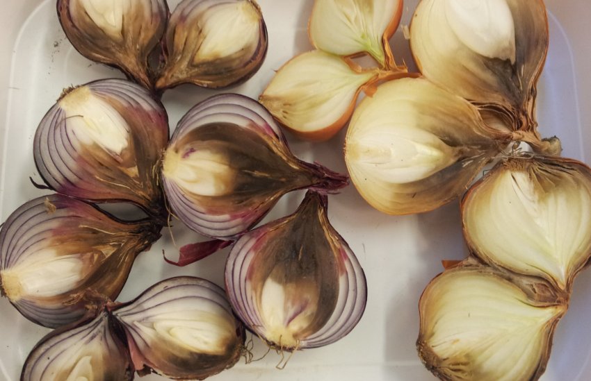 Сіра гниль цибулі