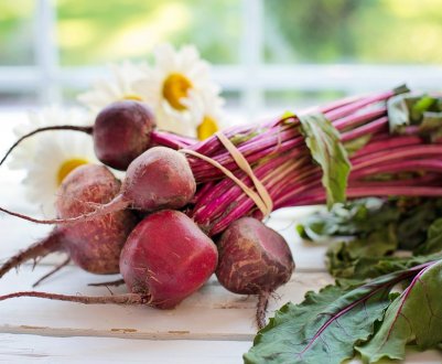 Як правильно сіяти цукровий буряк для зберігання. Поради експертів