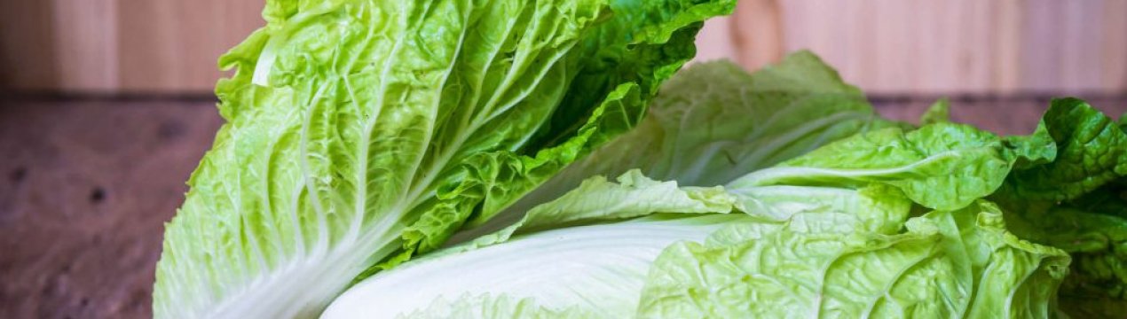Пекинская Капуста Диета 5. Диета Стол №5: меню и таблица продуктов