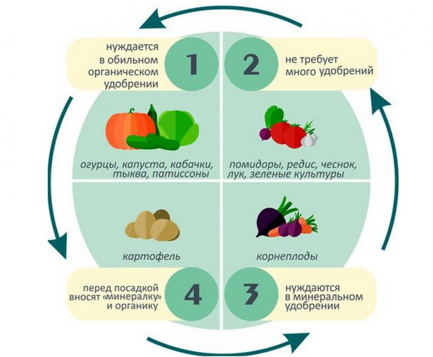 Сівозміна культур на грядці