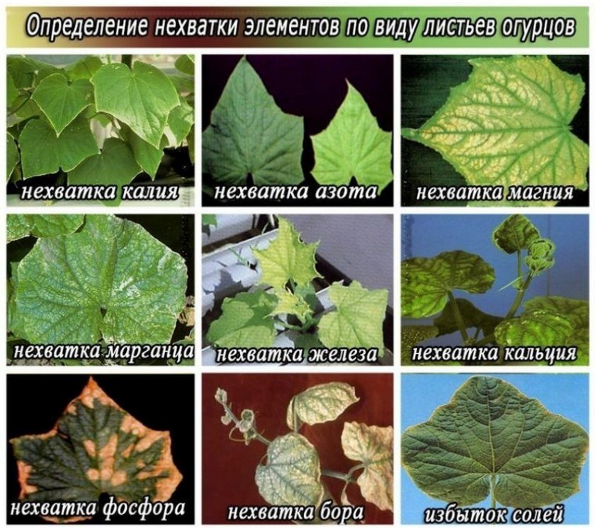 Проблемы связаны нехваткой элементов Проблемы связаны нехваткой элементов