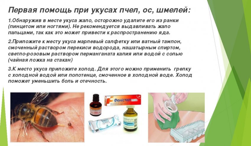 Перша допомога при укусах комах Перша допомога при укусах комах