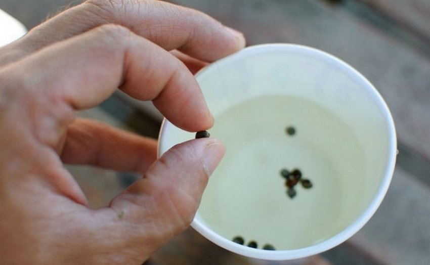 Калібрування Калібрування