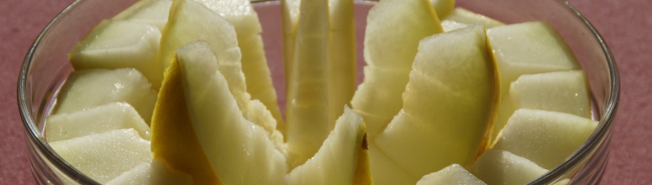 Диня Ромашка: ботанічний опис і характеристика, вирощування і догляд