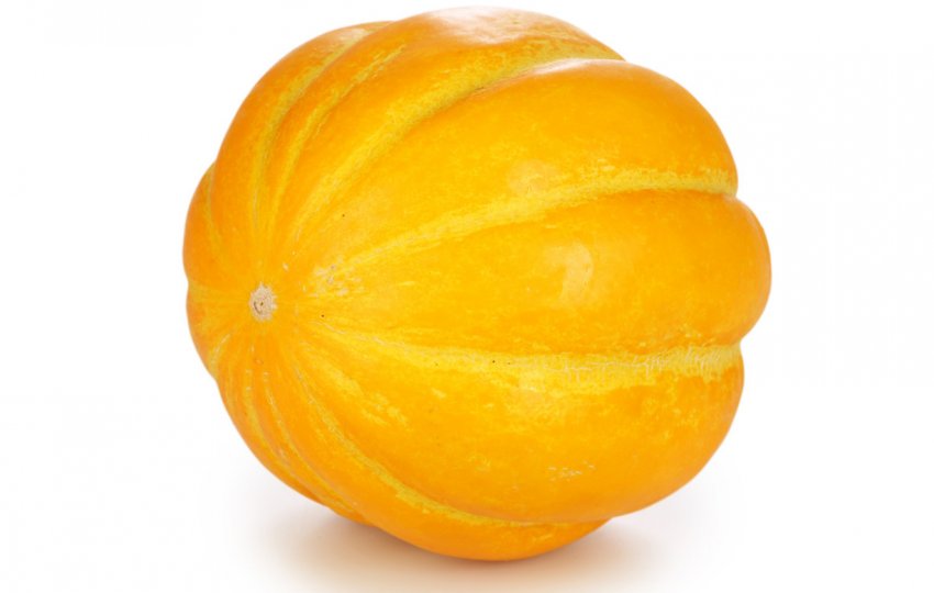 Диня сорту Ромашка Диня сорту Ромашка