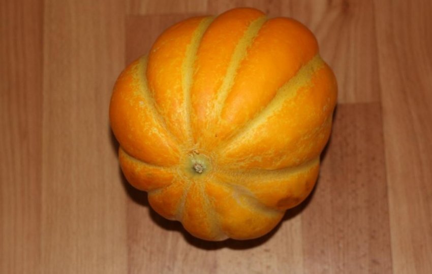 Диня сорту Ромашка Диня сорту Ромашка