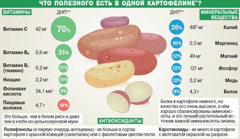 Химический состав картофеля Химический состав картофеля