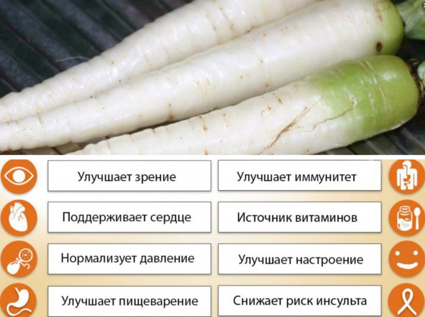 Свойства белой моркови Свойства белой моркови