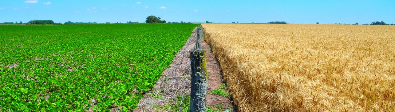 Новозеландський фермер вимагає компенсації за исполосованную під час пожежі землю