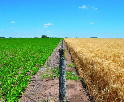 Новозеландський фермер вимагає компенсації за исполосованную під час пожежі землю