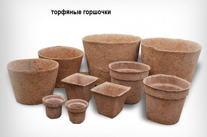 Торфяные горшочки для рассады Торфяные горшочки для рассады