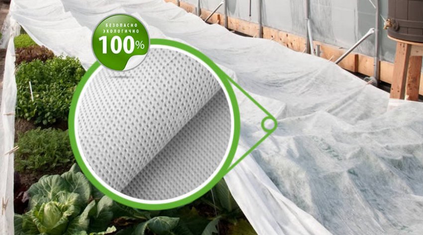 Агроволокно Агроволокно