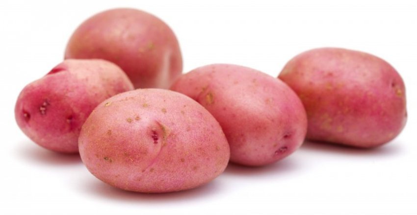 Картоплю сорту Розалінд Картоплю сорту Розалінд