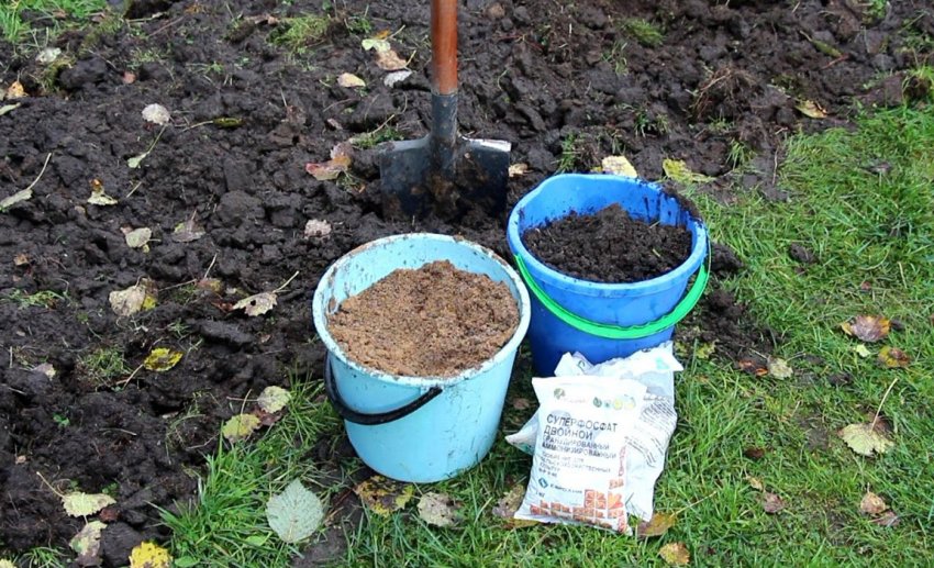 Подготовкка ділянки під посадку картоплі Подготовкка ділянки під посадку картоплі