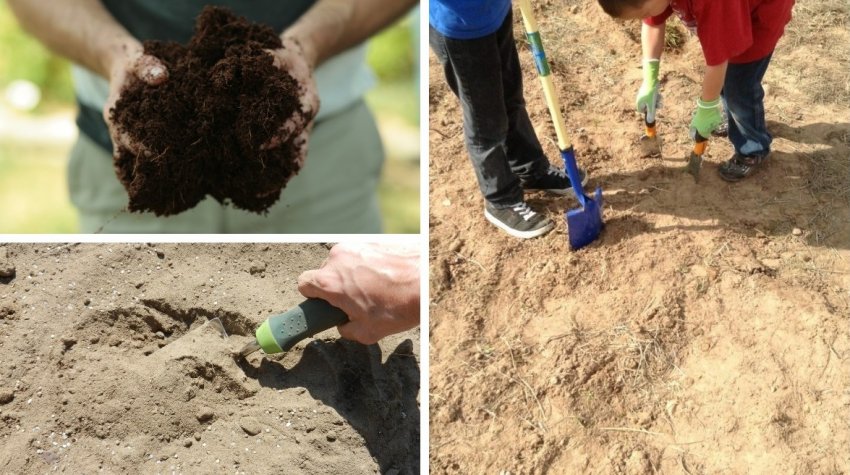 Удобрение почвы торфом и песком