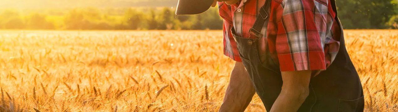 Провідний британський кооператив запустив нову страхову послугу для своїх фермерів