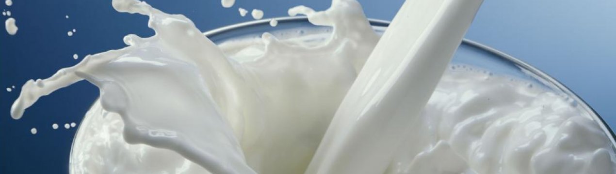 Китайський молочний гігант веде переговори з ФІФА про спонсорство чемпіонату світу 2022