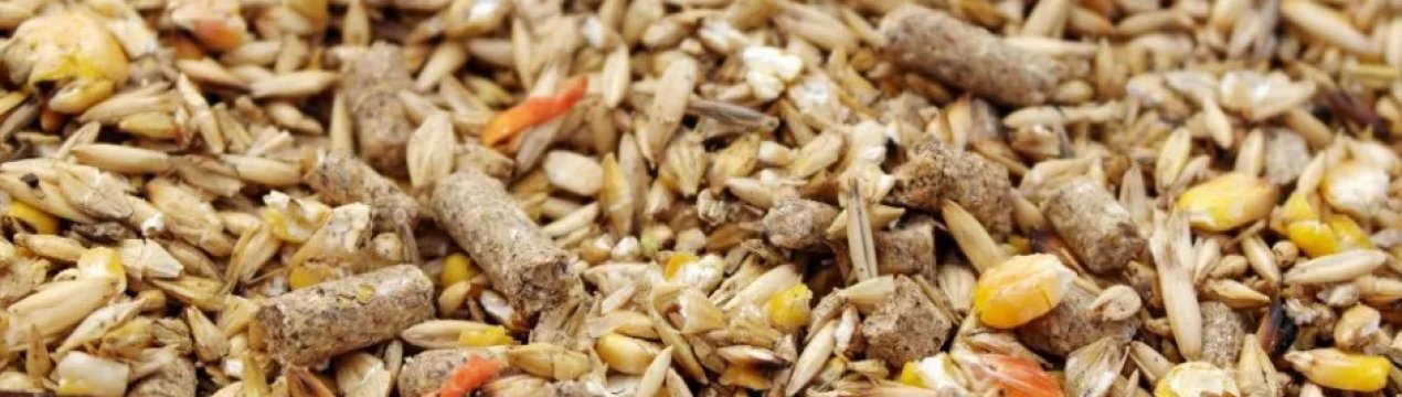 «Укрспирт» займеться виробництвом високопротеїнових кормів