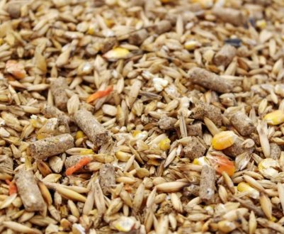 «Укрспирт» займеться виробництвом високопротеїнових кормів