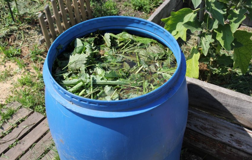 Настій на основі трав Настій на основі трав