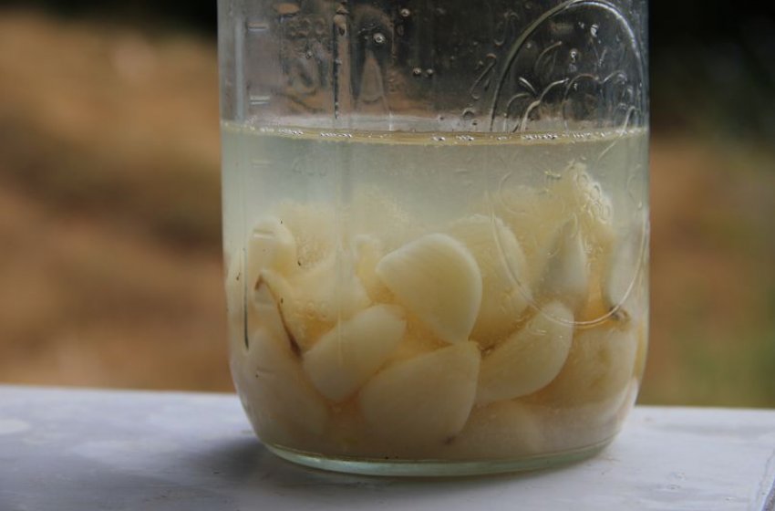 Часникова настоянка Часникова настоянка