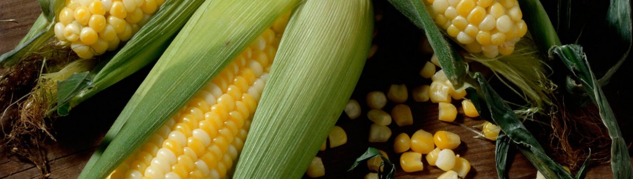 Безчинствуючі фермери викрали ЗЗР та кукурудзу з державного сільськогосподарського підприємства Одеської області