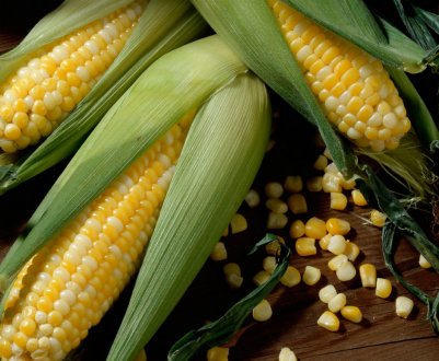 Безчинствуючі фермери викрали ЗЗР та кукурудзу з державного сільськогосподарського підприємства Одеської області