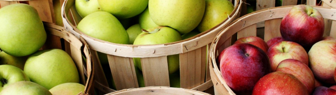 Росія сподівається на вітчизняних садівників і знижує темпи фруктового імпорту