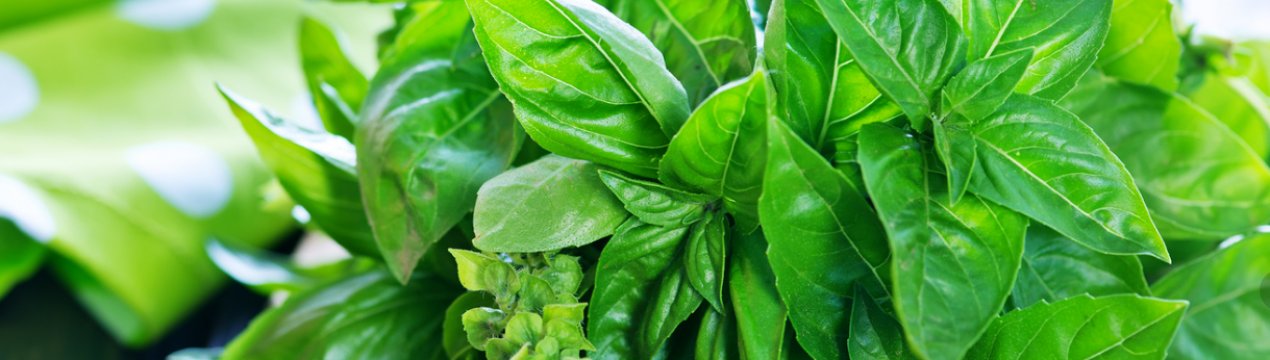 Зелень дорога, як ніколи. Ситуація на українському ринку