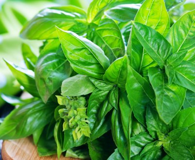 Зелень дорога, як ніколи. Ситуація на українському ринку