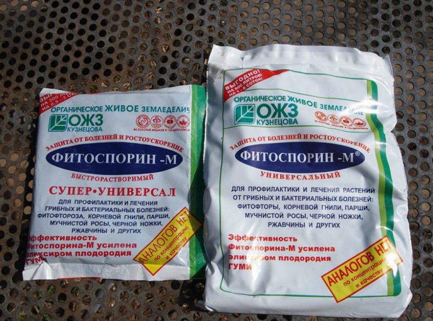 «Фітоспорин» «Фітоспорин»