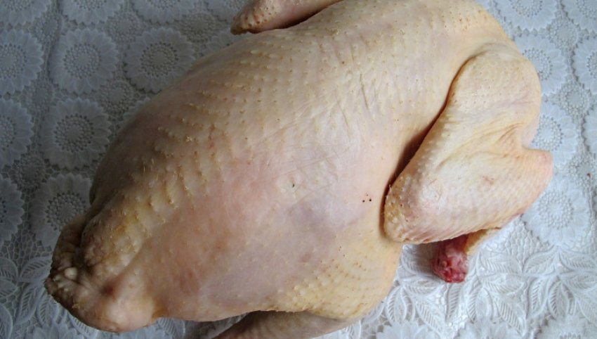 Свіжа тушка індички Свіжа тушка індички